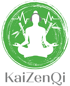 kaizenqi.com